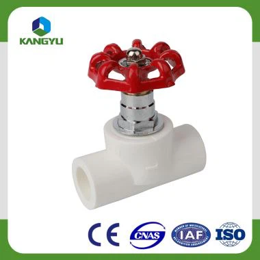 Семейное украшение PPR для соединения труб PPR и клапанов